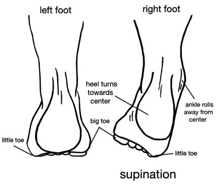 bones of foot. Tips for avoiding foot and leg